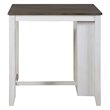 Kingfisher Lane 3 Piece Wood Counter Height Dining Set in Gray and White