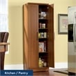 Kingfisher Lane Engineered Wood Storage Cabinet in Sienna Oak Finish