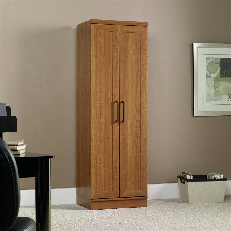 Kingfisher Lane Engineered Wood Storage Cabinet in Sienna Oak Finish
