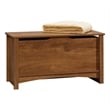 Kingfisher Lane Modern Engineered Wood Storage Chest in Oiled Oak