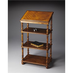 Kingfisher Lane Contemporary Library Stand In Medium Brown Finish