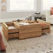 Kingfisher Lane Engineered Wood Coffee Table in Sindoori Mango/Natural