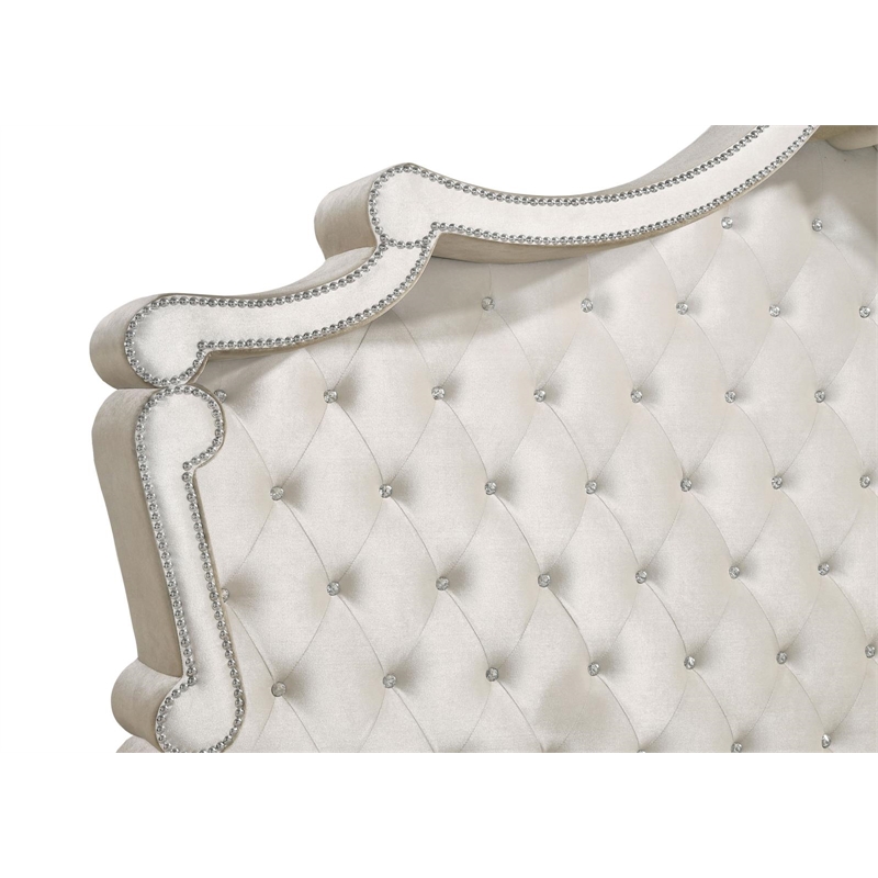 Kingfisher Lane Upholstered Velvet Eastern King Bed in Ivory and Camel