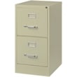 Kingfisher Lane Metal 2 Drawer Letter Width Vertical Filing Cabinet Putty/Beige
