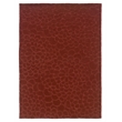 Laysan Home Transitional Hand Tufted Polyester 5'x7' Rug in Cinnamon Red