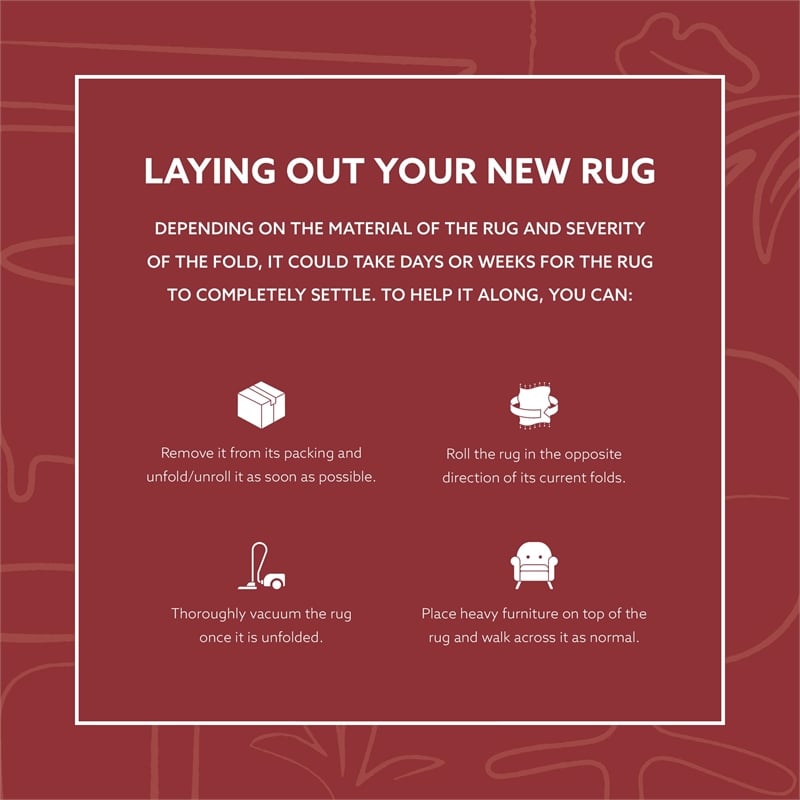 Laysan Home Transitional Shag Hand Tufted Polyester 8'x10' Rug in Champagne