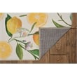 Laysan Home Transitional Washable Polyester 2'x3' Rug in Ivory and Yellow