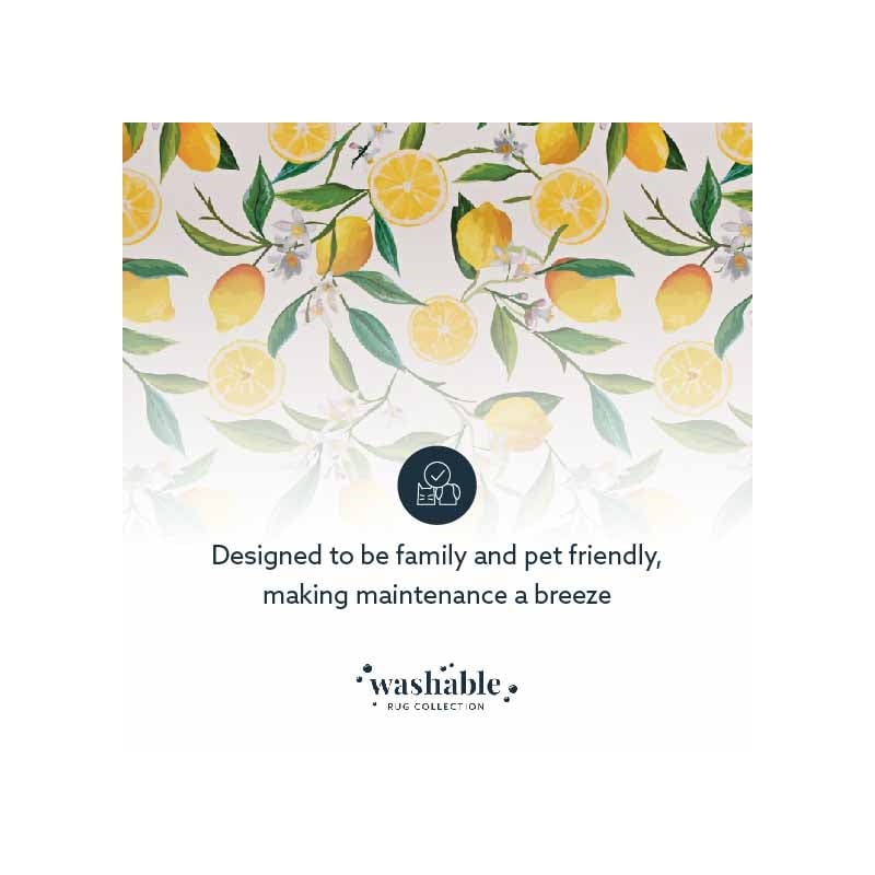 Laysan Home Transitional Washable Polyester 2'x3' Rug in Ivory and Yellow