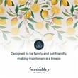 Laysan Home Transitional Washable Polyester 2'x3' Rug in Ivory and Yellow