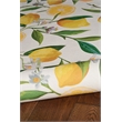 Laysan Home Transitional Washable Polyester 2'x3' Rug in Ivory and Yellow