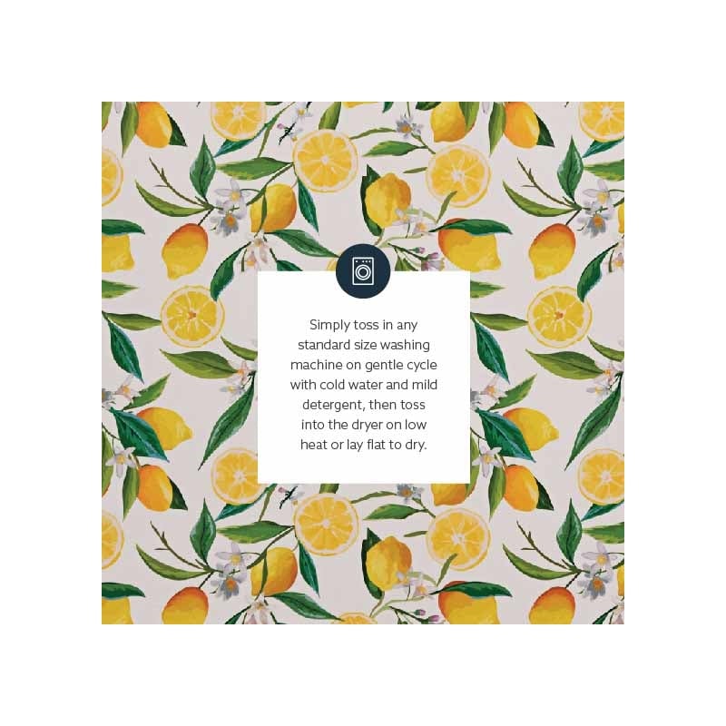 Laysan Home Transitional Washable Polyester 2'x3' Rug in Ivory and Yellow