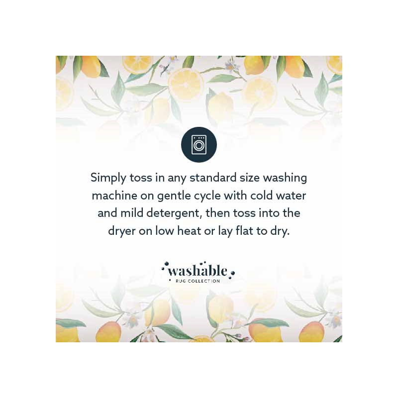 Laysan Home Transitional Washable Polyester 3'x5' Rug in Ivory and Yellow