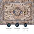 Laysan Home Transitional Washable Polyester 2'x3' Rectangle Rug in Ivory / Gold