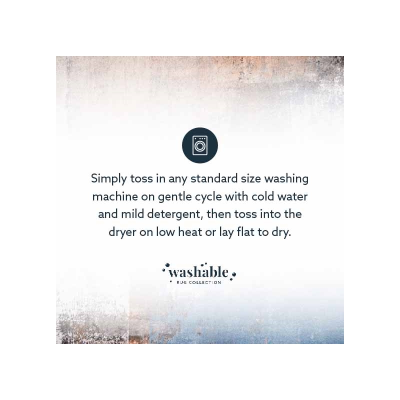 Laysan Home Transitional Washable Polyester 2'x8' Rectangle Rug in Beige / Blue