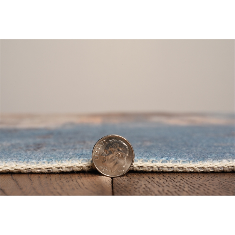 Laysan Home Transitional Washable Polyester 3'x5' Rectangle Rug in Beige / Blue