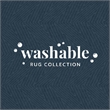 Laysan Home Transitional Washable Polyester 2'x3' Rectangle Rug in Gray / Ivory