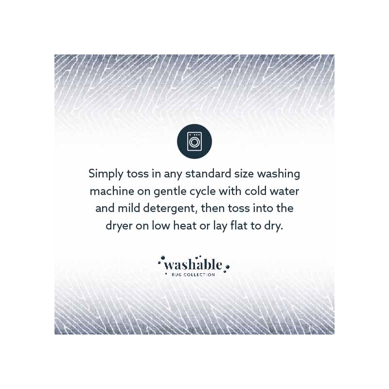 Laysan Home Transitional Washable Polyester 2'x3' Rectangle Rug in Gray / Ivory