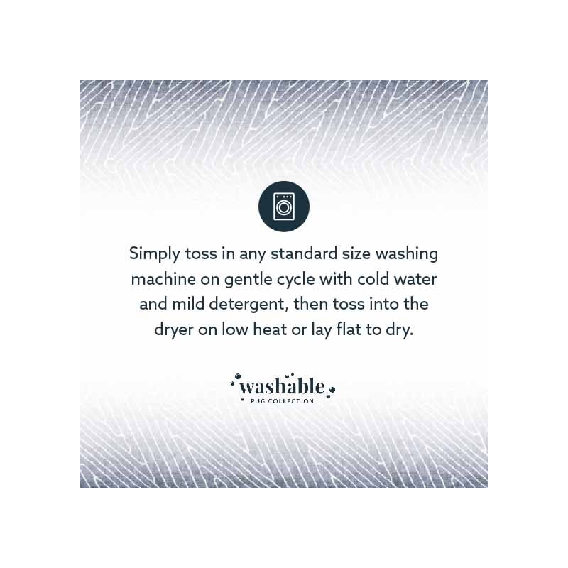 Laysan Home Transitional Washable Polyester 3'x5' Rectangle Rug in Gray / Ivory