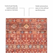 Laysan Home Transitional Washable Polyester 2'x3' Rectangle Rug in Red and Ivory