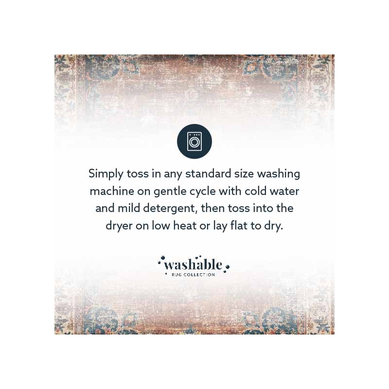 Laysan Home Transitional Washable Polyester 2'x3' Rectangle Rug in Brown / Ivory