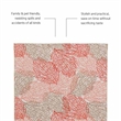 Laysan Home Transitional Washable Polyester 2'x3' Rectangle Rug in Ivory / Coral