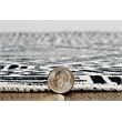 Laysan Home Transitional Washable Polyester 2'x3' Rectangle Rug in Ivory / Black