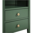 Comfort Pointe Winsley 2-drawer Vintage Green Painted Wood Storage Nightstand