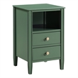 Comfort Pointe Winsley 2-drawer Vintage Green Painted Wood Storage Nightstand