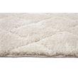 Denali Bijou Cream Polypropylene Tufted Area Rug