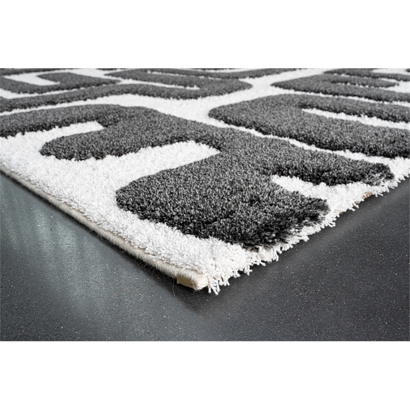 Luna Meara Black and Ivory Recycled Polyester Area Rug