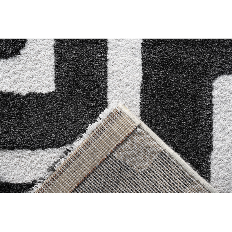 Luna Meara Black and Ivory Recycled Polyester Area Rug