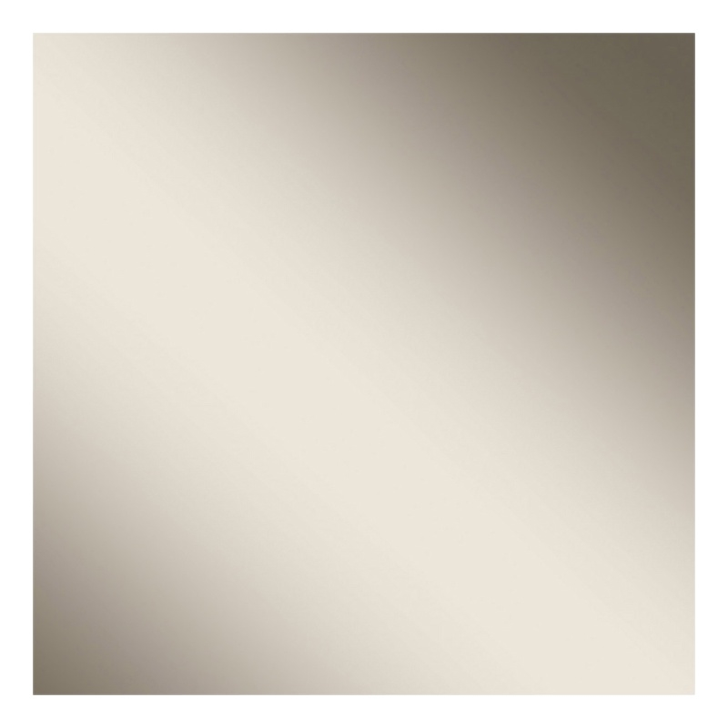 Essentials For Living Vivente Noble Plastic Mirror in Gray High Gloss