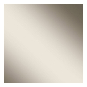 Essentials For Living Vivente Noble Plastic Mirror in Gray High Gloss