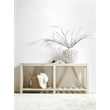 Essentials For Living Bella Antique Cinq Wood Link in White Wash Pine
