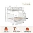 Leo & Lacey Twin Over Full Wood Bunk Bed with 2 Storage Drawers in White