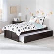 Leo & Lacey Urban Twin Trundle Platform Bed in Espresso