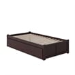 Leo & Lacey Urban Twin Trundle Platform Bed in Espresso