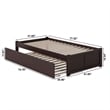 Leo & Lacey Urban Twin Trundle Platform Bed in Espresso