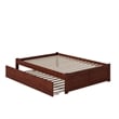 Leo & Lacey Urban Full Trundle Platform Bed in Walnut