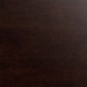 Leo & Lacey Urban Twin Trundle Platform Bed in Espresso