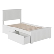 Leo & Lacey Twin Wood Platform Bed with Matching Footboard and Drawers in White