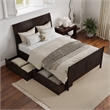 Leo & Lacey Full Storage Wood Platform Bed with Footboard in Espresso