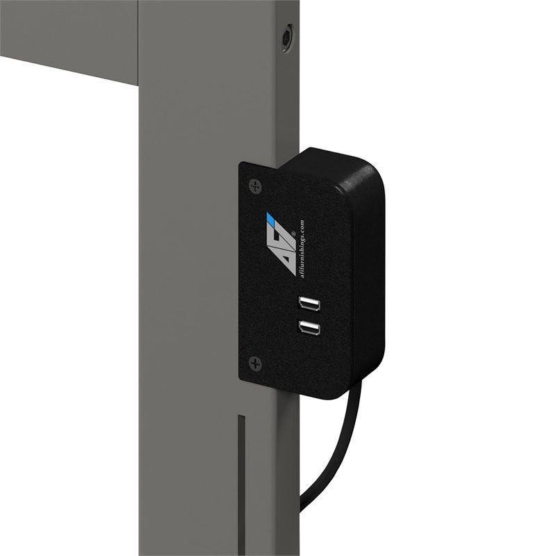 Leo & Lacey Twin XL Platform Bed with Footboard and 2 Urban Bed Drawers in Gray