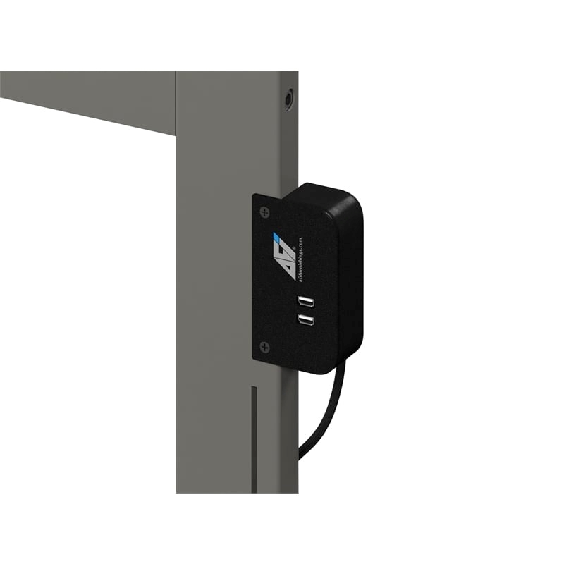 Leo & Lacey 2-Shelf Traditional Solid Wood Twin XL Bed in Gray