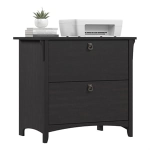 Salinas 2 Drawer Lateral File Cabinet in Vintage Black - Engineered Wood