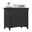 Salinas 2 Drawer Lateral File Cabinet in Vintage Black - Engineered Wood