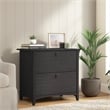 Salinas 2 Drawer Lateral File Cabinet in Vintage Black - Engineered Wood