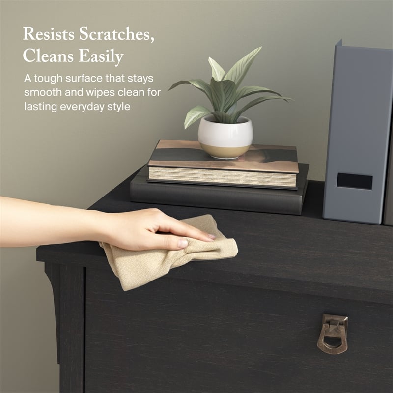 Salinas 2 Drawer Lateral File Cabinet in Vintage Black - Engineered Wood