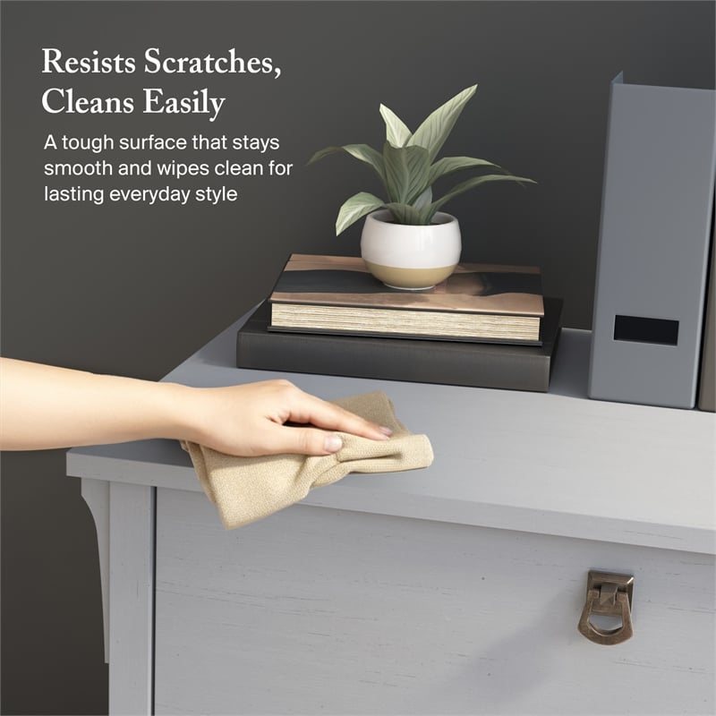 Salinas 2 Drawer Lateral File Cabinet in Cape Cod Gray - Engineered Wood