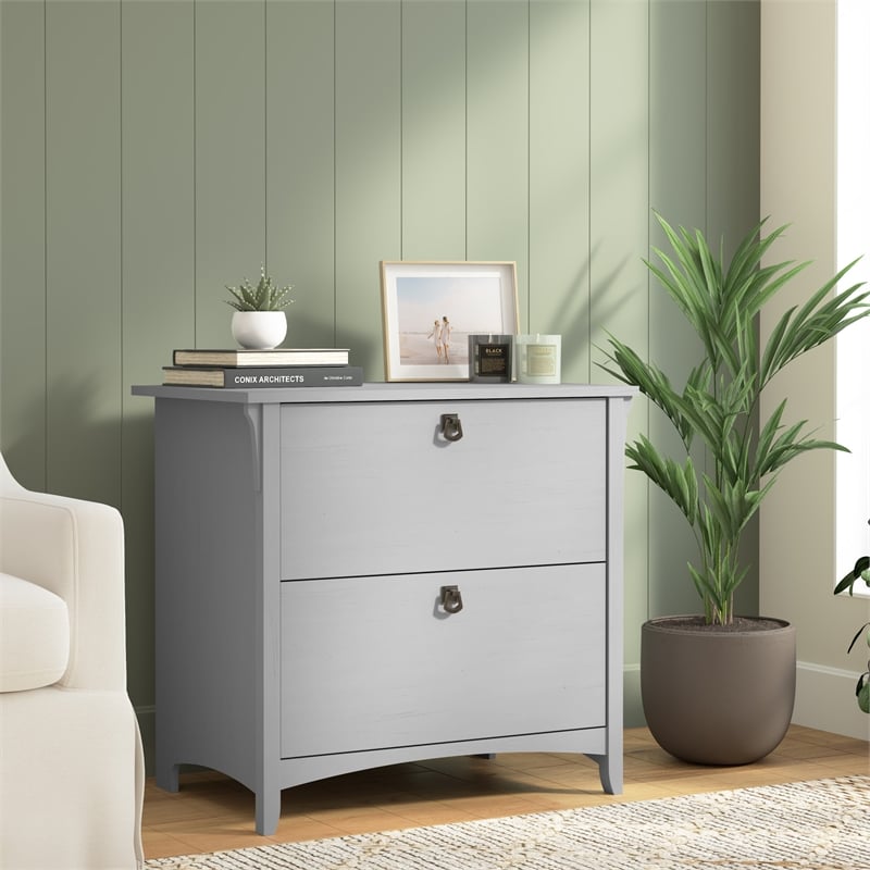 Salinas 2 Drawer Lateral File Cabinet in Cape Cod Gray - Engineered Wood